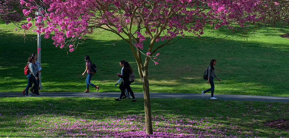 Students Walking through Aldrich Park